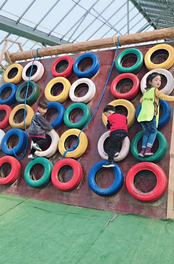 climbing tyre montain (4)