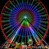 DJFW01 Attractive theme park rides ferris wheel
